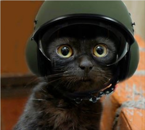 Kit Maydanu.jpg