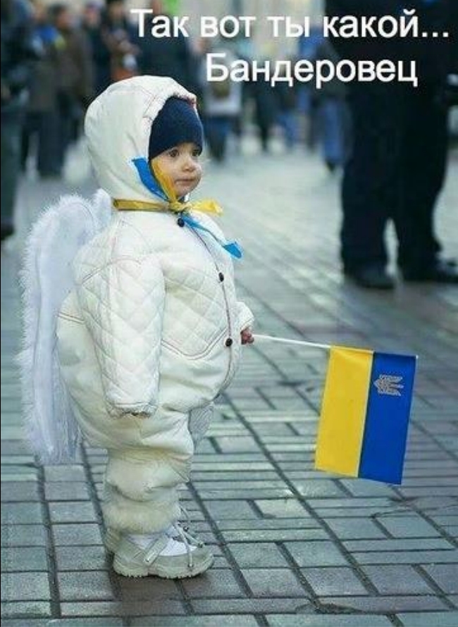 Фото Олега Левченко.jpg