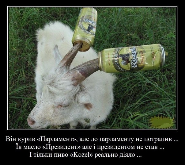 Козел.jpg