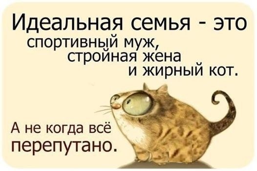 7FZvzwrcZKM.jpg