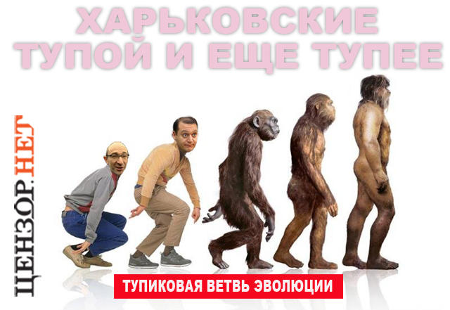 640x441.jpg