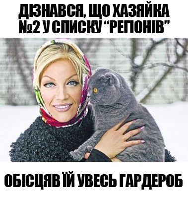 cat0.jpg